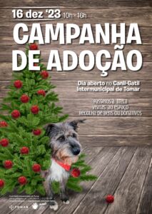 Agenda para o fim de semana 16 12 7428788 7838839515739585382 n