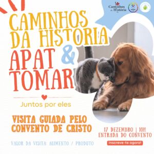 Agenda para o fim de semana 17 12 3058363105 6482029459032168535 n