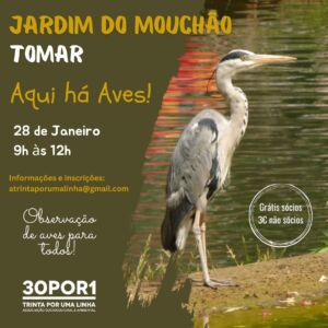 Sugestões para o fim de semana 28 1 295424755 6929451955641161636 n