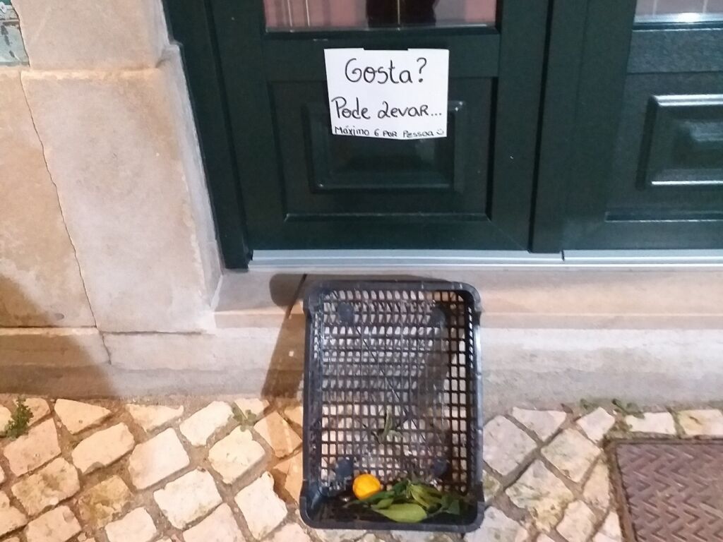 Oferta de fruta numa rua da cidade fruta 20240127 183441 2