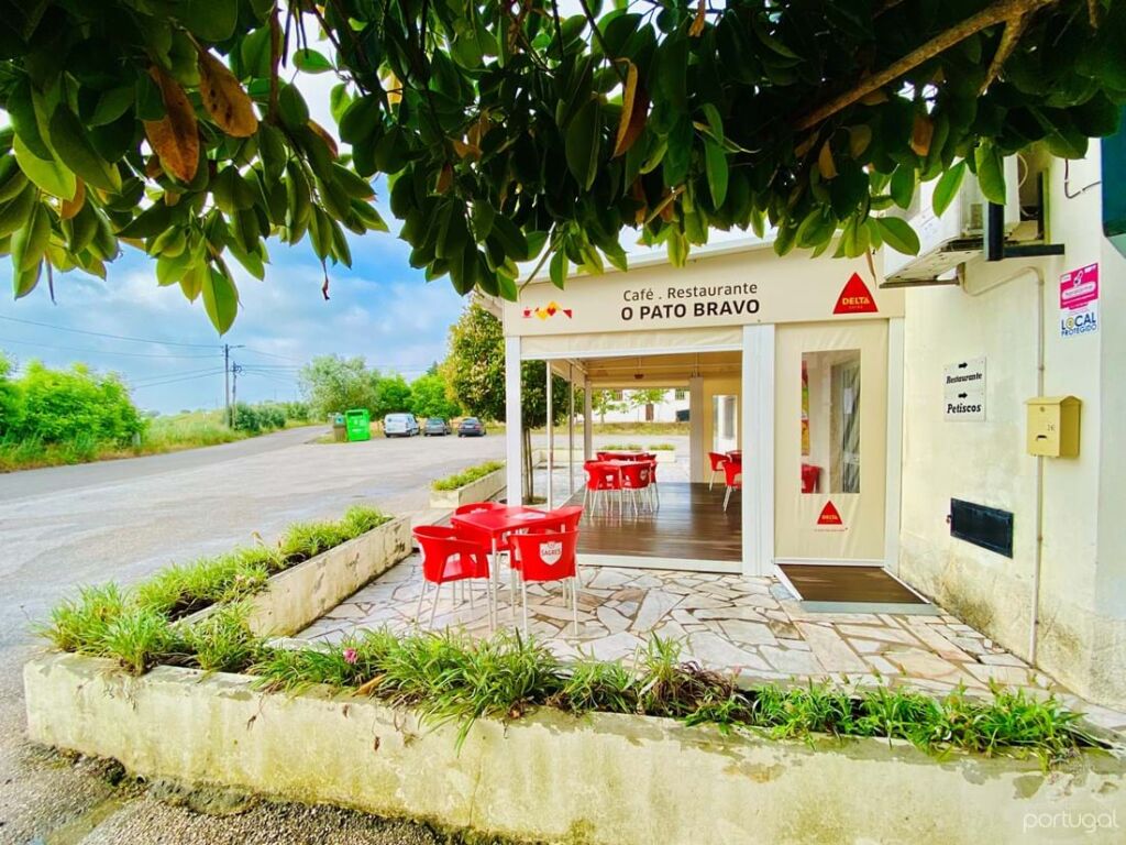 Café e restaurante Pato Bravo à venda por 390 mil euros pato bravo 0be4ad09301 f74b6591 b6c9 45c0 977f f0f6e061ee90