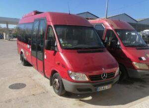 Câmara vende viaturas, máquinas e sucata em leilão 425335929 693923289622028 8187359071963946270 n