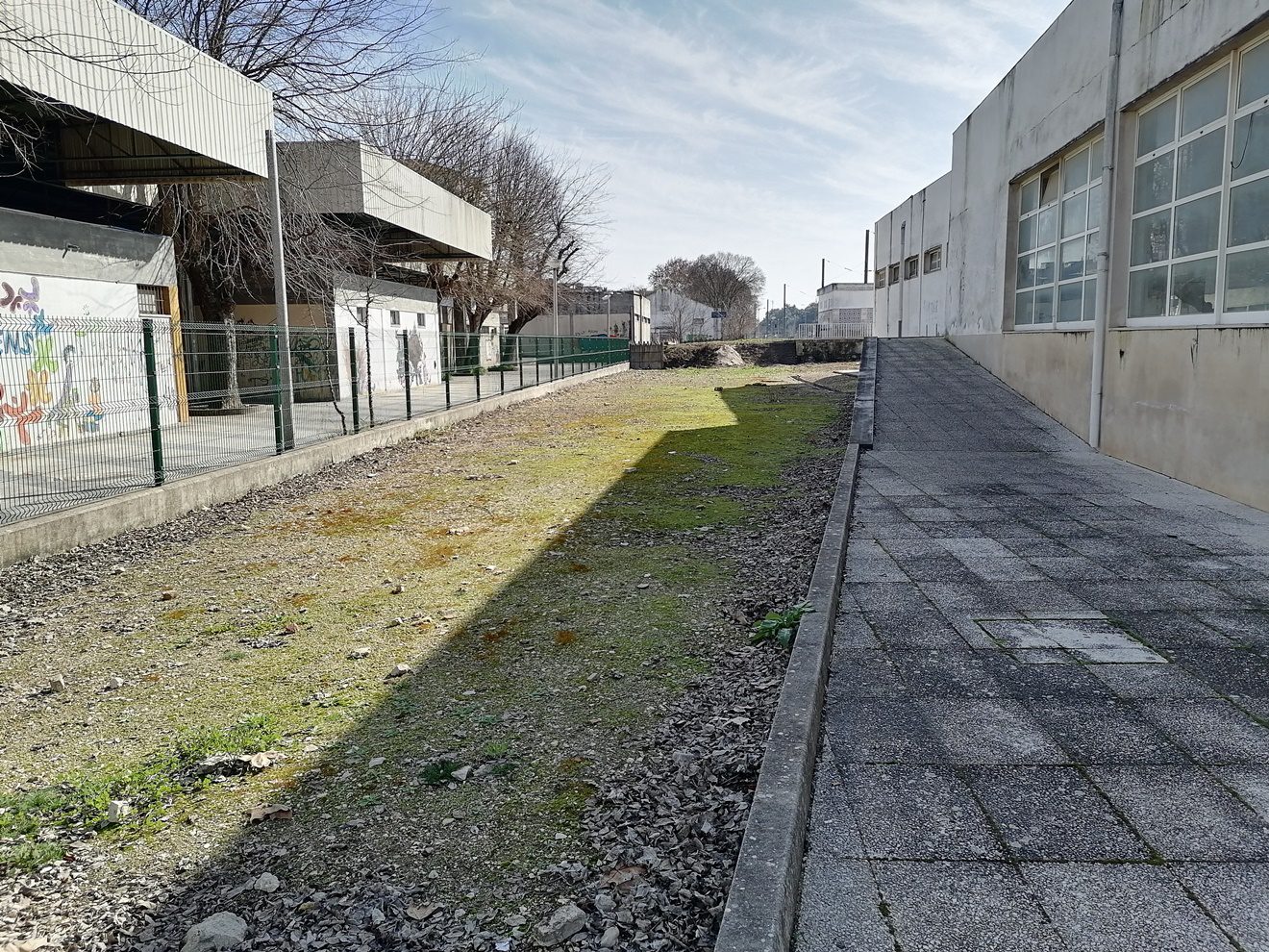 skate parkIMG 20240204 125645