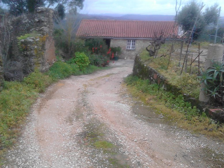 Saiba quais são as aldeias mais pequenas do concelho de Tomar estrada IMG 20170204 155634