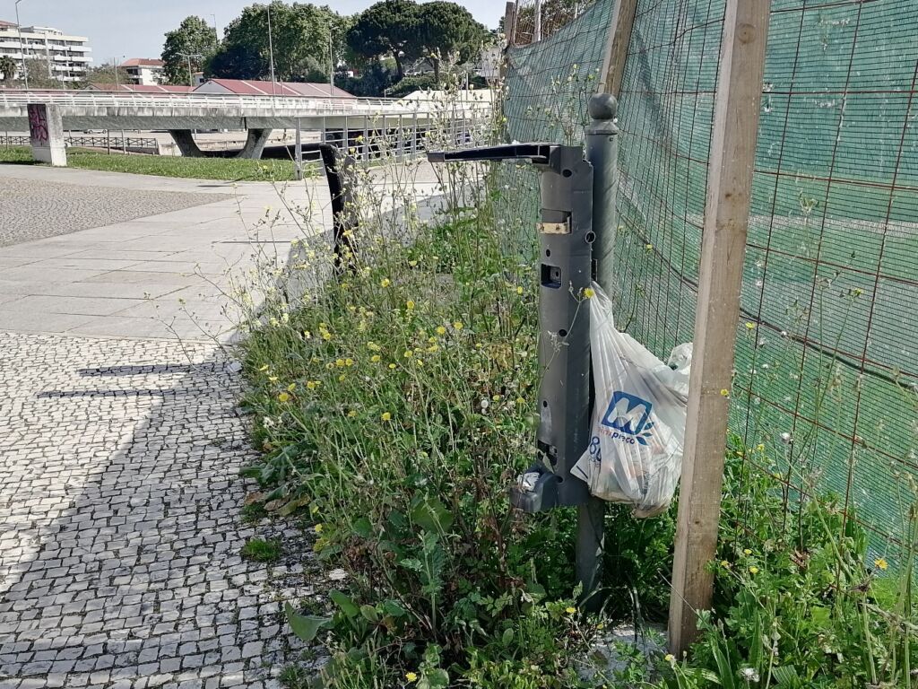A foto é nossa, o comentário é seu lixo IMG 20240414 103731