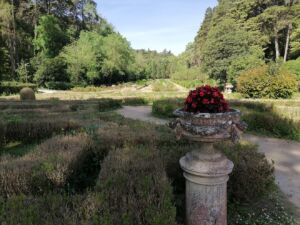 Visitantes desolados com o estado do jardim na Mata dos Sete Montes mata IMG 20240414 102621