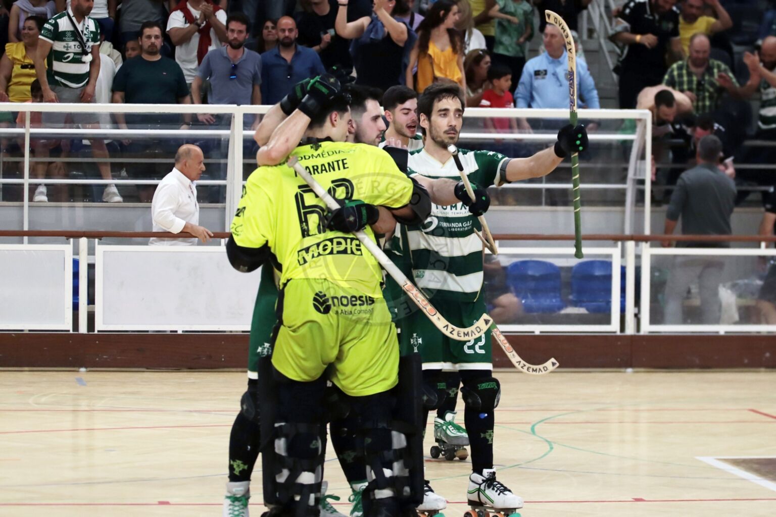 sp. Tomar x IMG 9765 copiar