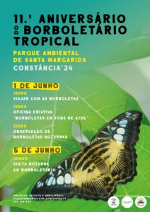 Agenda para o fim de semana 1 6 3948027 7771317994943843955 n
