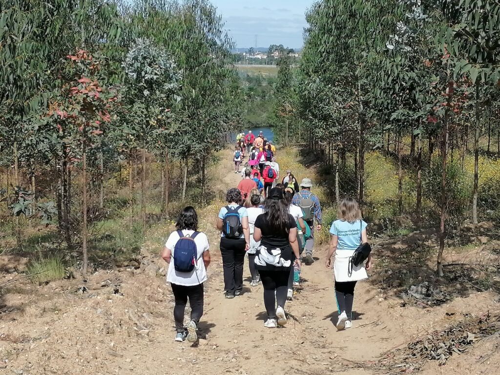 caminhada IMG 20240512 104355
