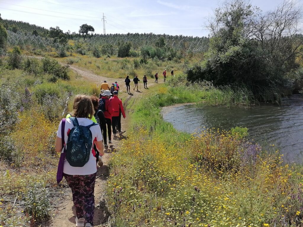 Primavera em Tomar: os melhores trilhos para caminhadas caminhada IMG 20240512 105735