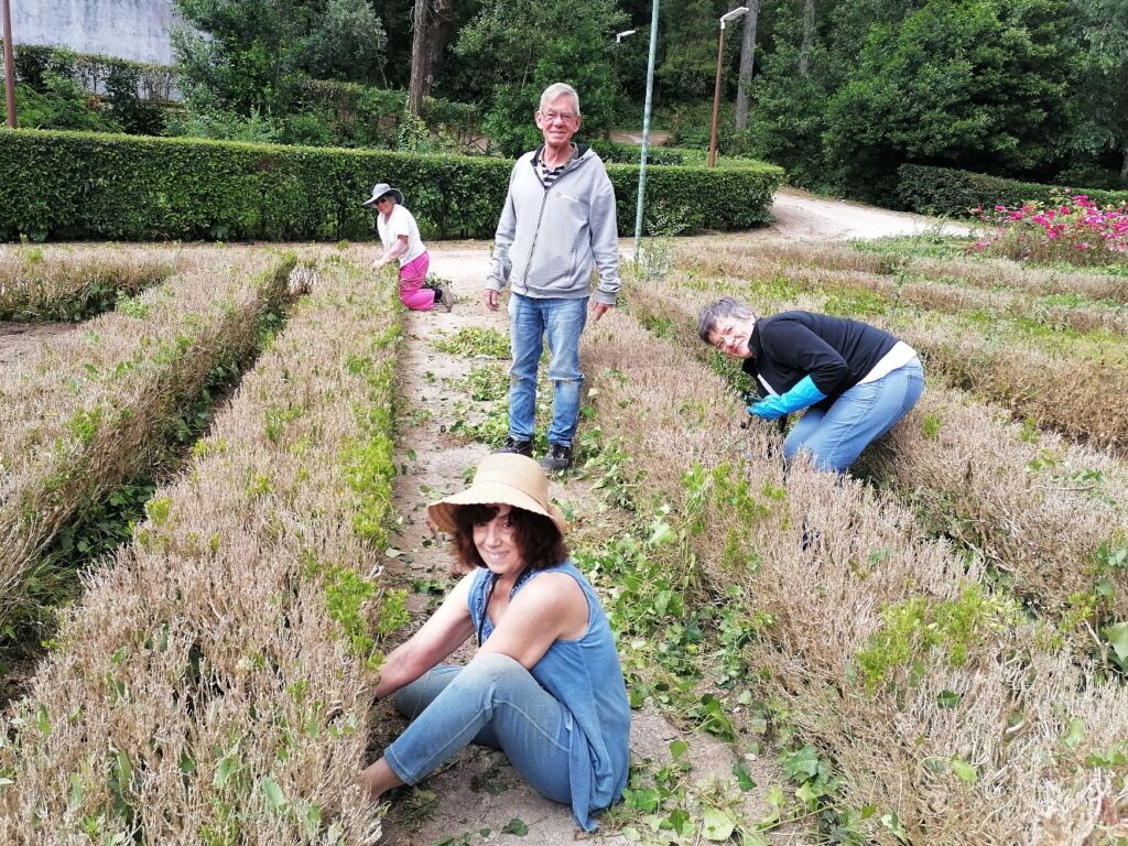 Mata dos Sete Montes: voluntários ajudam a cuidar do jardim (c/ áudio) mata IMG 20240515 102914