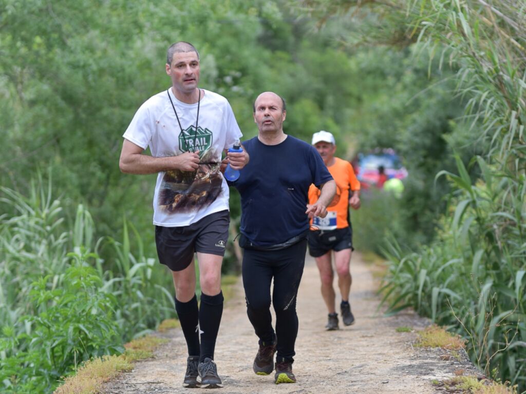 paulo trail 535863960 36019899 n