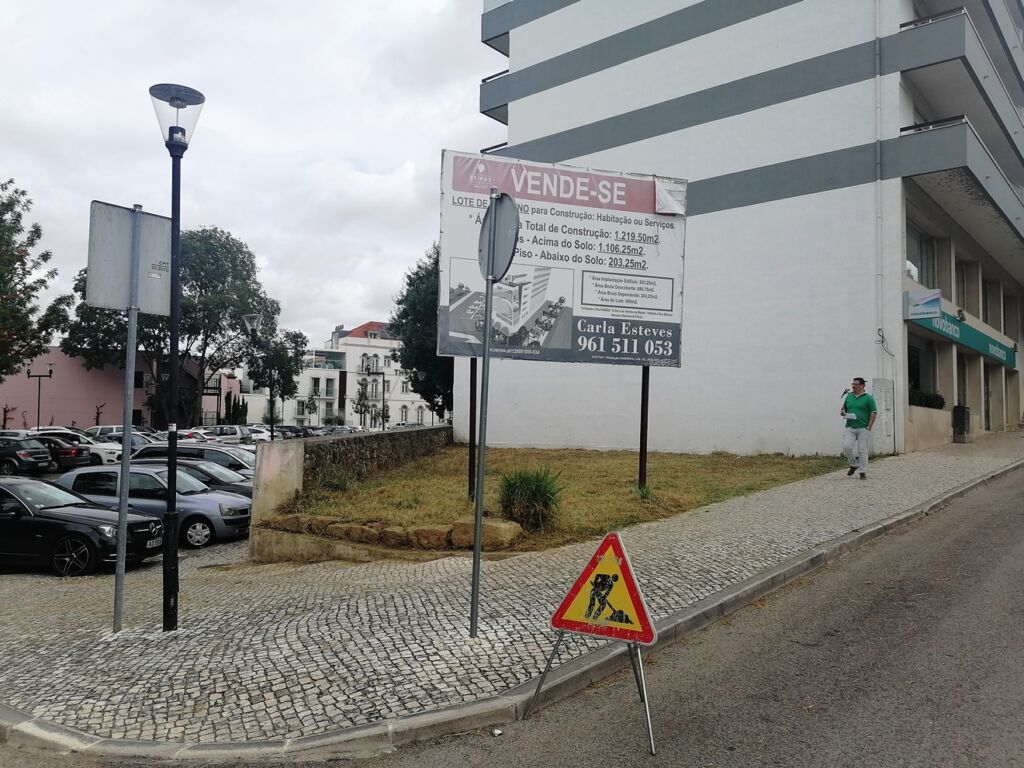 terreno ervas IMG 20240516 115708