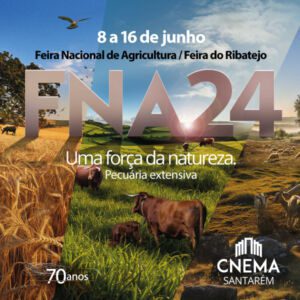 8 6 AF FNA24 600x600px
