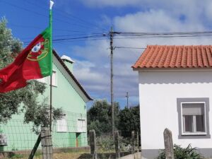 Euro 2024: cada vez mais bandeiras de Portugal nas ruas de Tomar (c/ fotos) IMG 20240625 171735