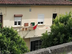 Euro 2024: cada vez mais bandeiras de Portugal nas ruas de Tomar (c/ fotos) IMG 20240625 173019