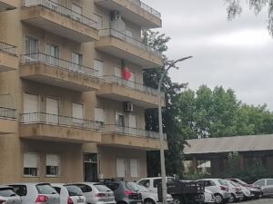 Euro 2024: cada vez mais bandeiras de Portugal nas ruas de Tomar (c/ fotos) IMG 20240625 184419