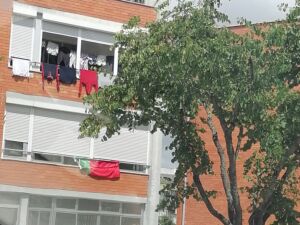 Euro 2024: cada vez mais bandeiras de Portugal nas ruas de Tomar (c/ fotos) IMG 20240626 114059