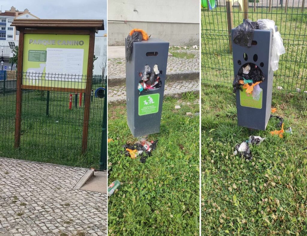 Lixo acumula-se no parque canino lixo 890