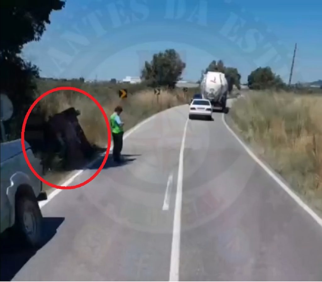Despiste na estrada entre Golegã e Entroncamento provoca três feridos acid