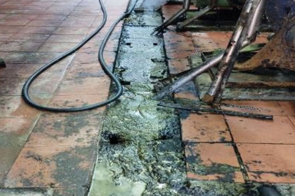 Torres Novas: ASAE apreende 18.200 litros de óleo alimentar que seriam vendidos como azeite azeite 005684671597 569804777076577623 n