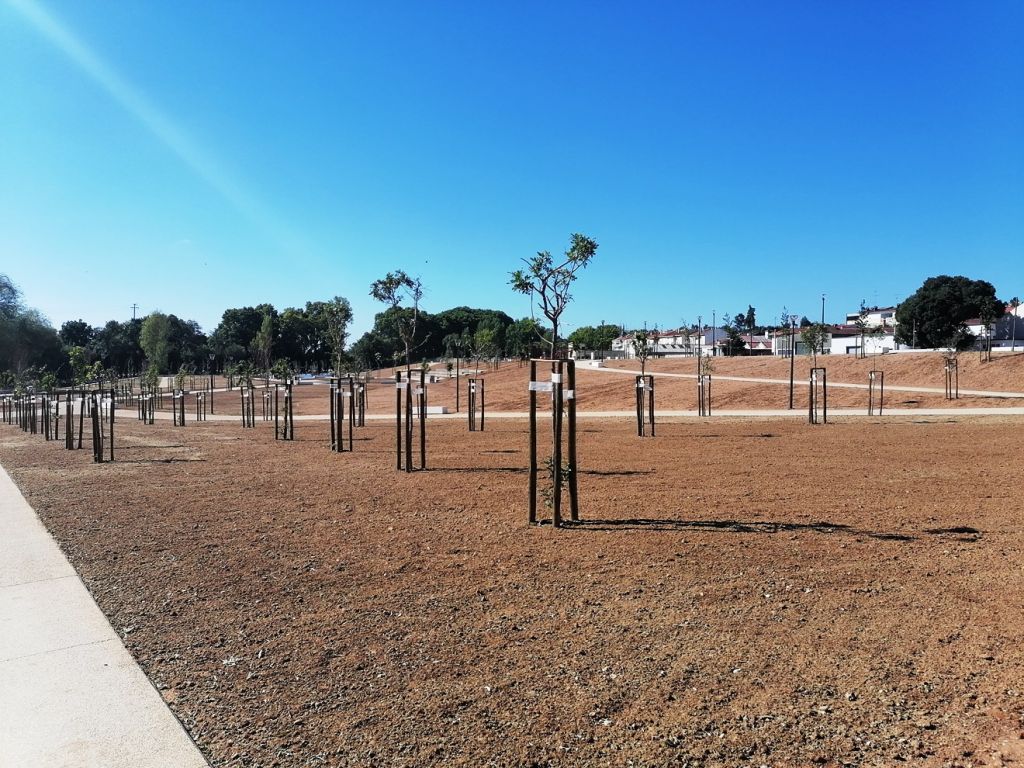 Parque do Flecheiro abriu ao público ainda por acabar (c/ fotos) flecheiro IMG 20240714 094748