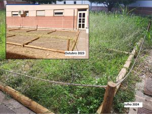 Horta e jardim para doentes psiquiátricos do hospital transformado em matagal hospital 7890
