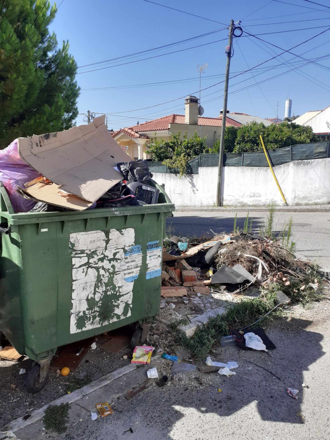 Bairro de Nª Srª dos Anjos desprezado lixo e ervas 1845504045 6120856929822183437 n