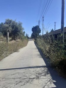 Bairro de Nª Srª dos Anjos desprezado lixo e ervas 697207 2465530918649130167 n