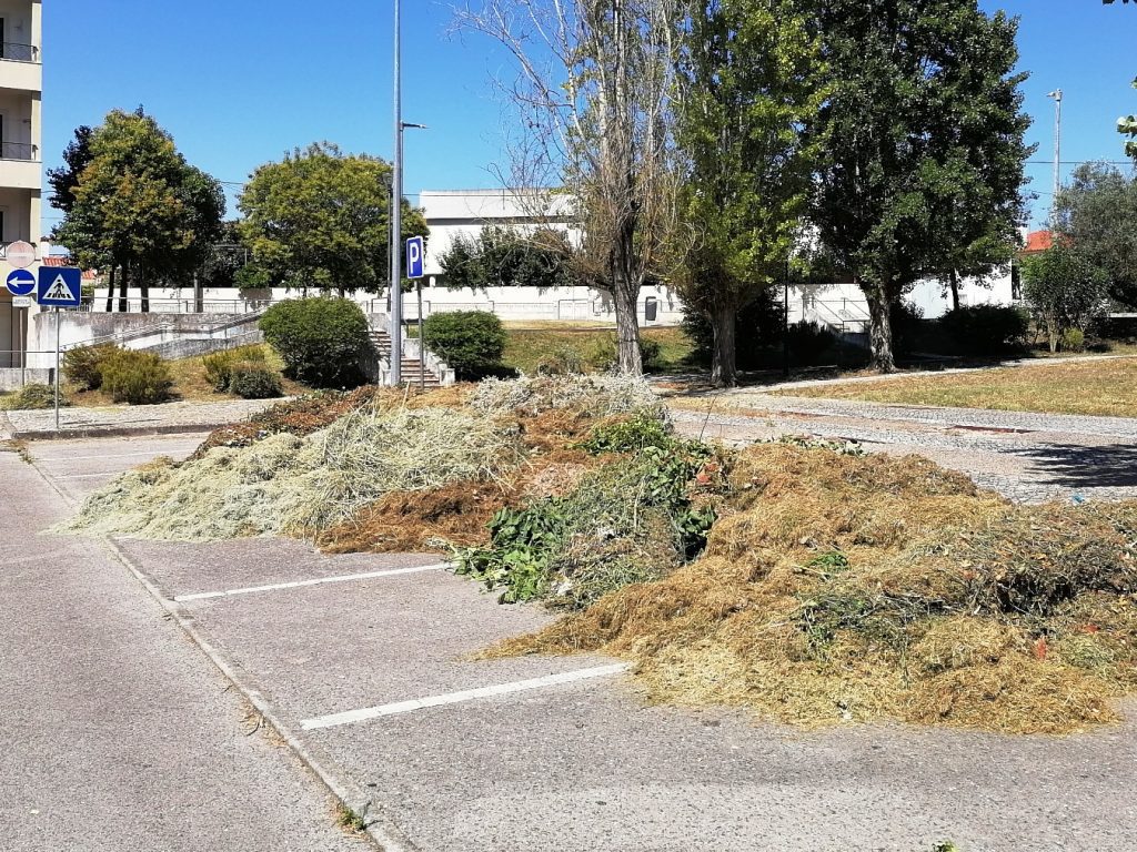 residuos verdes IMG 20240724 112128