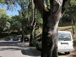 Caos no estacionamento à volta do Convento de Cristo IMG 20240806 172437