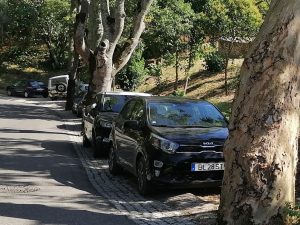 Caos no estacionamento à volta do Convento de Cristo IMG 20240808 162211