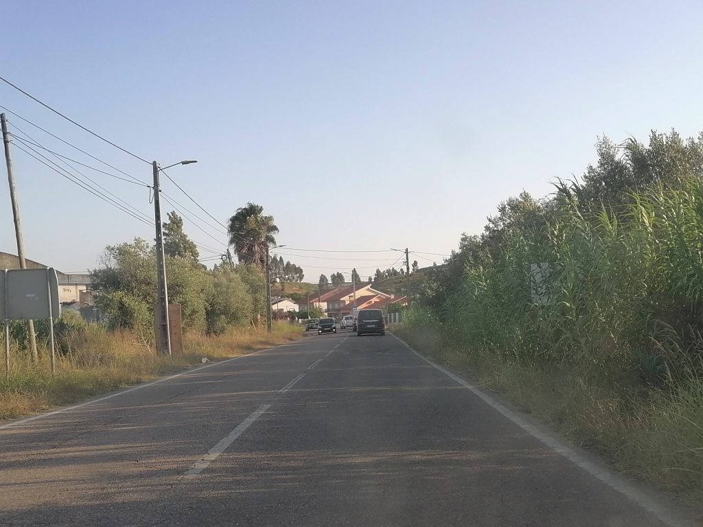 Passatempo: que terra é esta? IMG 20240809 190447