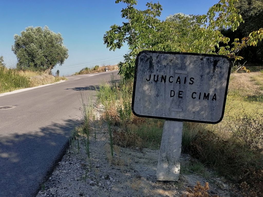 juncais IMG 20240822 175616