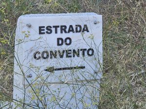 Lixo amontoa-se junto ao muro da Mata dos Sete Montes lixo 52501508 4119274071290754546 n