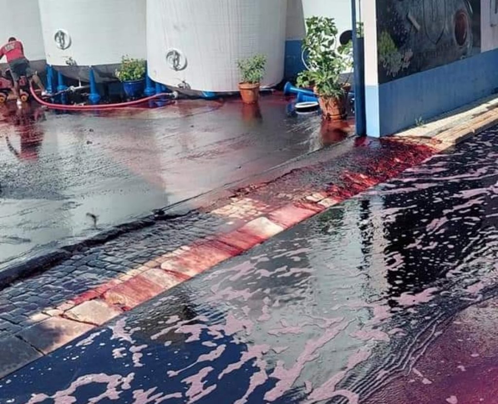Depósito rompe e espalha 30 mil litros de vinho pelas ruas de Alpiarça vinh 05337304658 3021633404124258058 n
