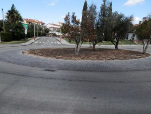 Imagens nada abonatórias para Tomar 41ea607e c936 4d36 8fcb f00543693a2e