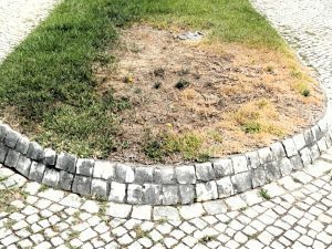 Imagens nada abonatórias para Tomar 4e771b6d 71b3 4853 91f7 c638b89b0719