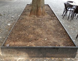 Imagens nada abonatórias para Tomar 94ef5207 00d8 4ce5 83b0 aab8982541f8