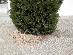 Imagens nada abonatórias para Tomar 98ac1c6c 6731 4982 a52b 161313177a91