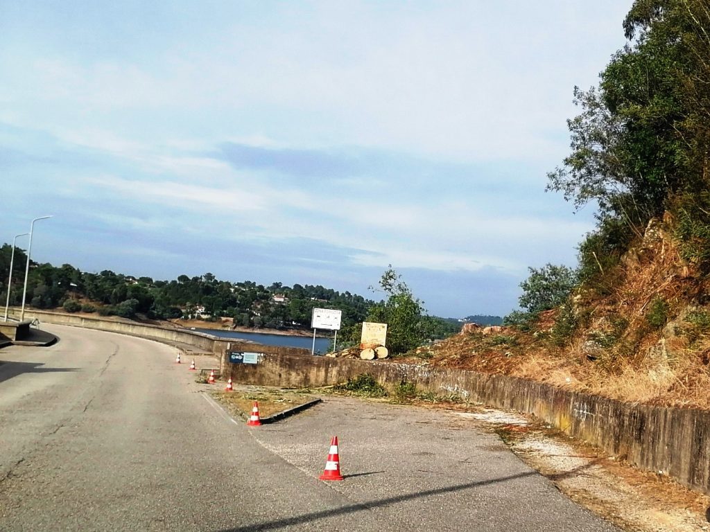 EDP manda cortar árvores na barragem de Castelo do Bode IMG 20240831 180038