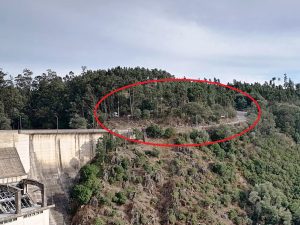 EDP manda cortar árvores na barragem de Castelo do Bode IMG 20240831 181144