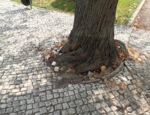 Imagens nada abonatórias para Tomar a682864a 767e 426b 8e8a 3f37c026dac8 1