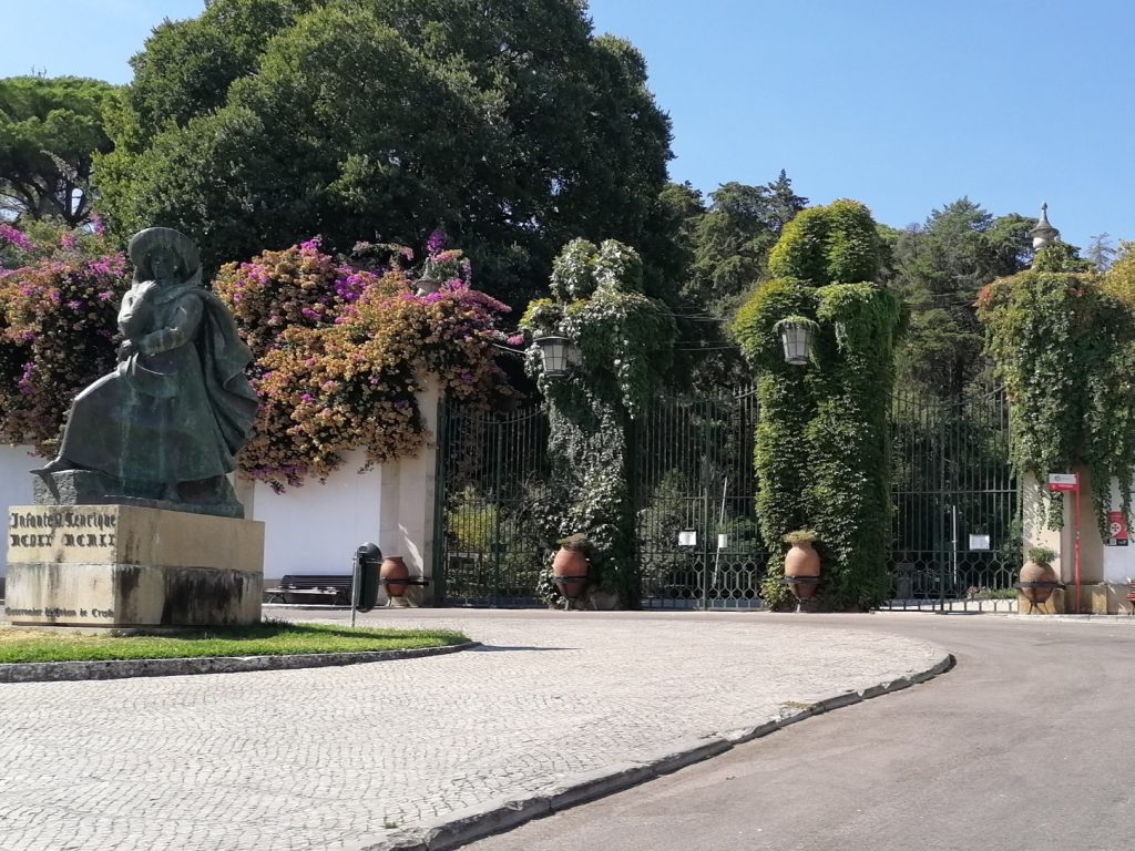 Mata dos Sete Montes e castelo fechados até quinta feira devido ao risco de incêndios mata IMG 20240917 114021