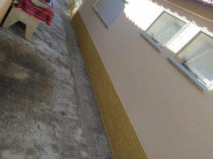 Moradora não quer que vizinha alimente pombos pombos 19711249213 2695715579944138607 n