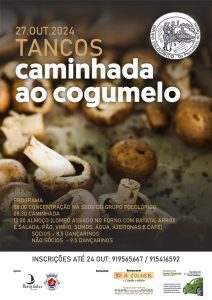 Sugestões para o fim de semana 27 10 585460036571 7933220616229384445 n