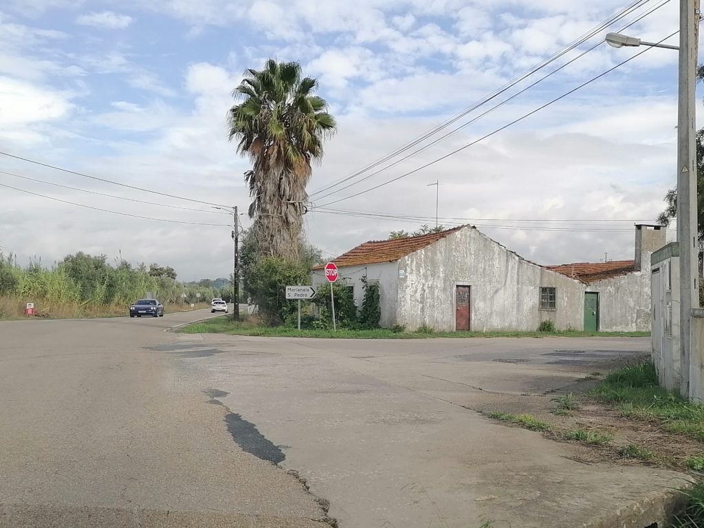 Projeto para reabilitar EN110 prevê duas rotundas IMG 20241015 112556