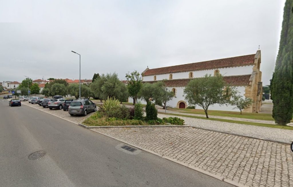 Entroncamento abre inscrições para apanha da azeitona municipal. E Tomar? olival oliveiras