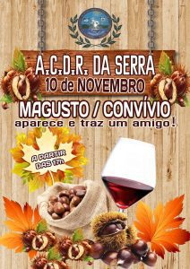 Sugestões para o fim de semana 10 11 545731758346 188558500551721855 n