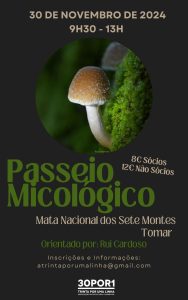 Agenda para o fim de semana 30 11 4886472907 8179360443469994834 n